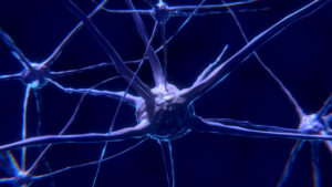 neuron dopamine nucleus accumbens addiction recovery